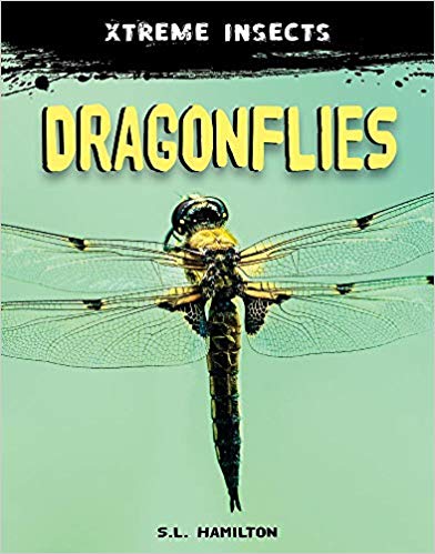 Dragonflies