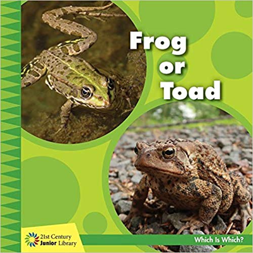 Frog or Toad