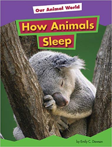 How Animals Sleep