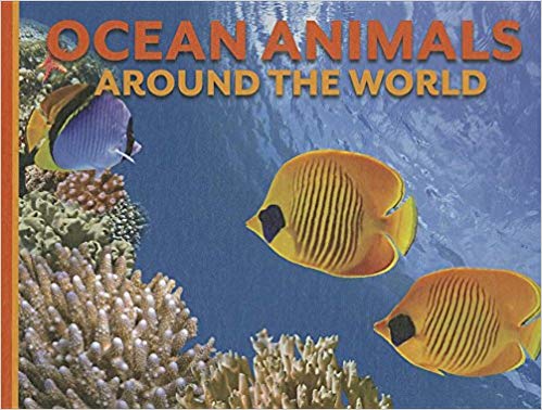 Ocean Animals Around the World