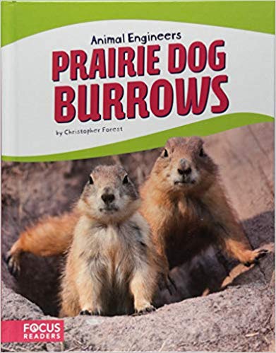 Prairie Dog Burrows