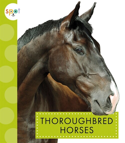 Thoroughbred Horses (Paperback)