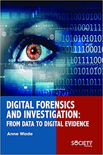 Digital Forensics and Investigation: From Data to Digital Evidence