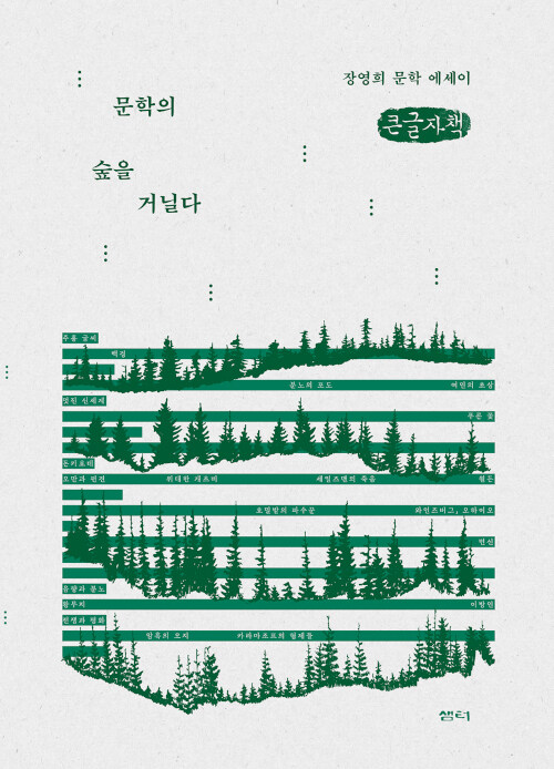 [POD] [큰글씨책] 문학의 숲을 거닐다