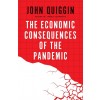 The Economic Consequences of the Pandemic (Hardcover)