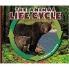 The Animal Life Cycle