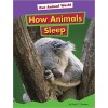 How Animals Sleep