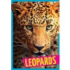 Leopards