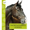 Thoroughbred Horses (Paperback)