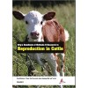 Brig's Handbook of Methods & Research in Reproduction in Cattle