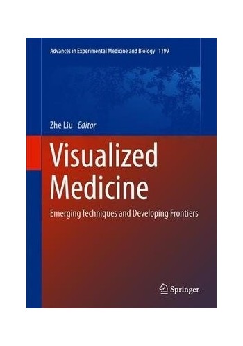 Visualized Medicine: Emerging Techniques and Developing Frontiers (Hardcover, 2022)