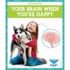 Your Brain When You're Happy (Paperback)